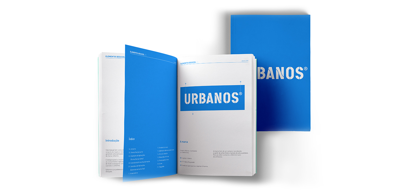 graphic standards manual